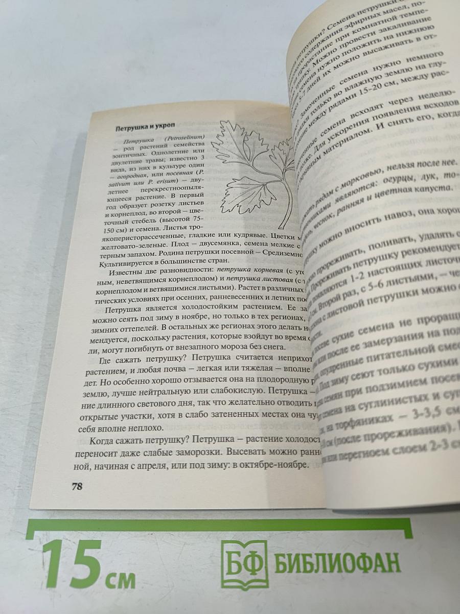 Посадки на зиму