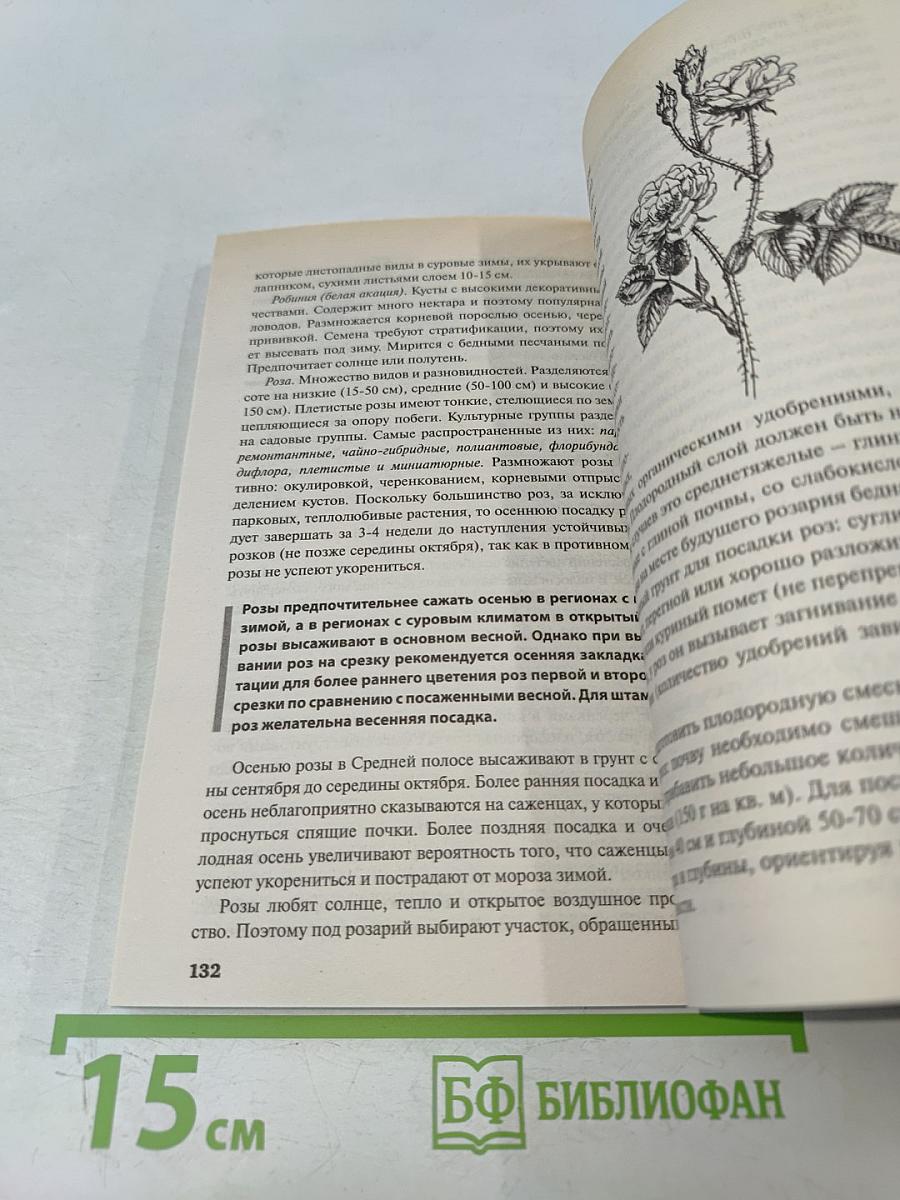 Посадки на зиму