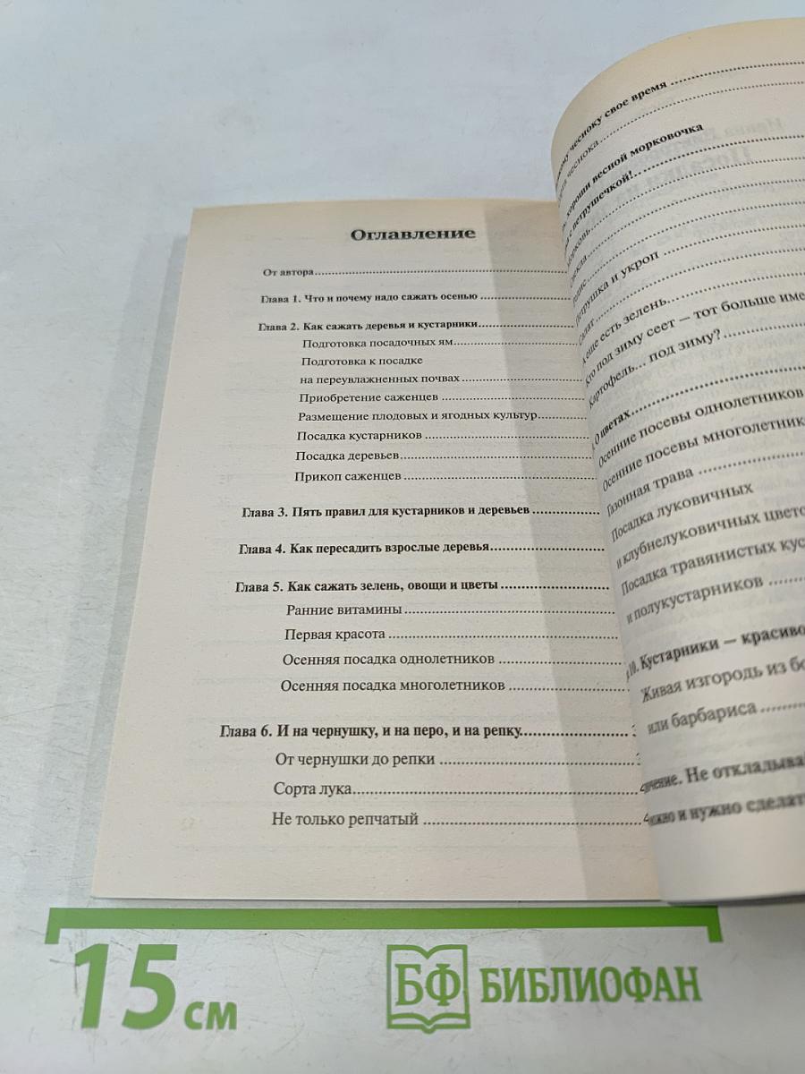 Посадки на зиму