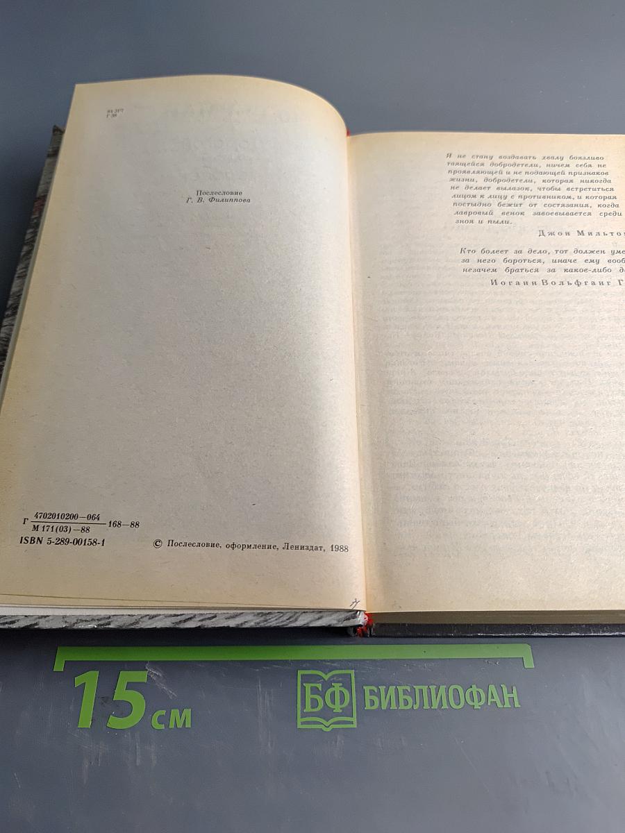 Дорогой мой человек