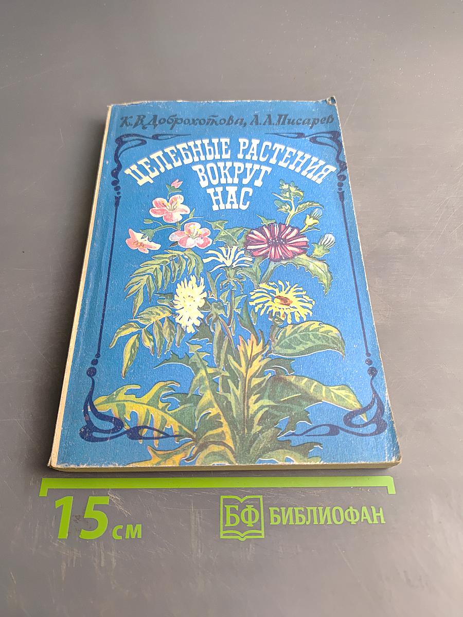 Целебные растения вокруг нас