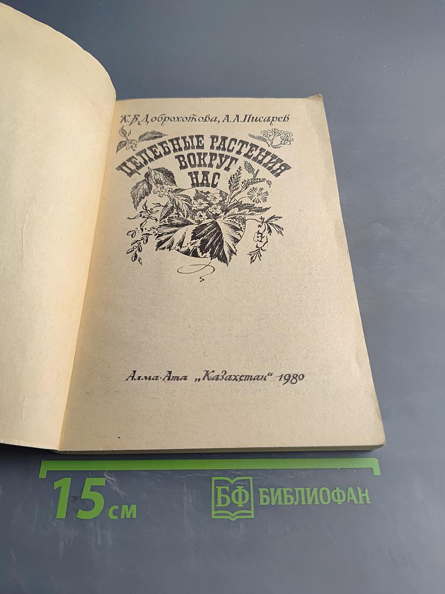 Целебные растения вокруг нас