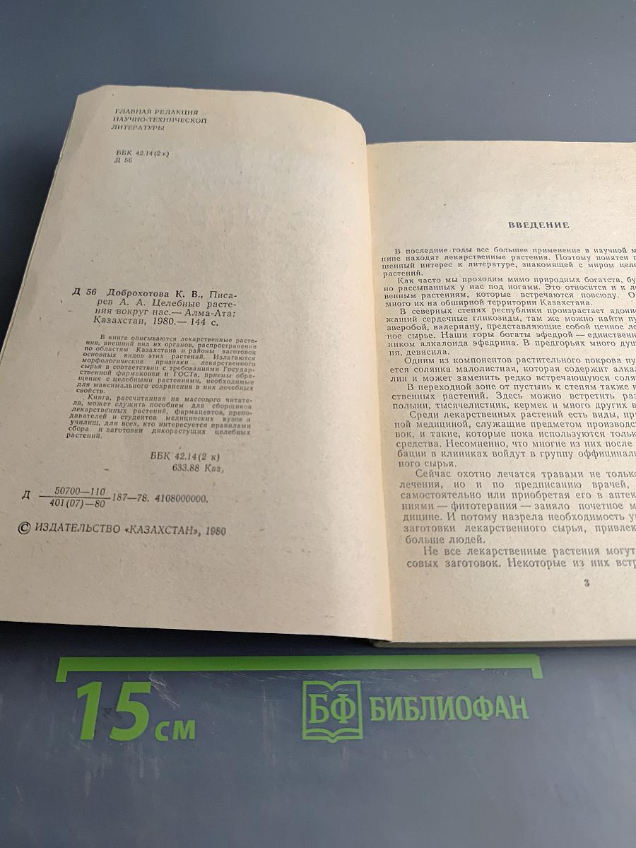 Целебные растения вокруг нас