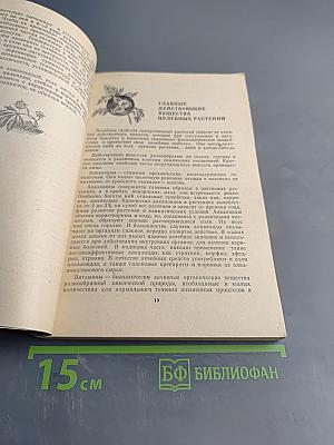 Целебные растения вокруг нас