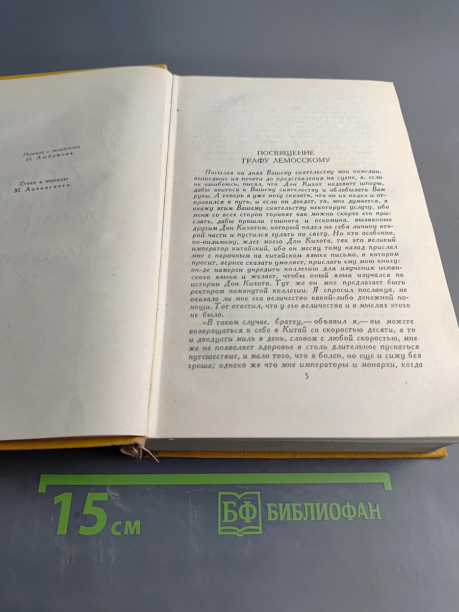 Хитроумный идальго Дон Кихот Ламанчский. Часть вторая