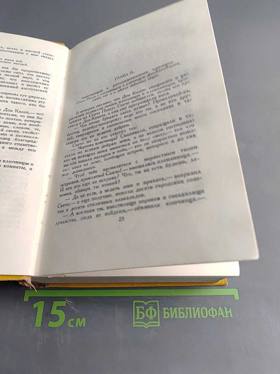 Хитроумный идальго Дон Кихот Ламанчский. Часть вторая