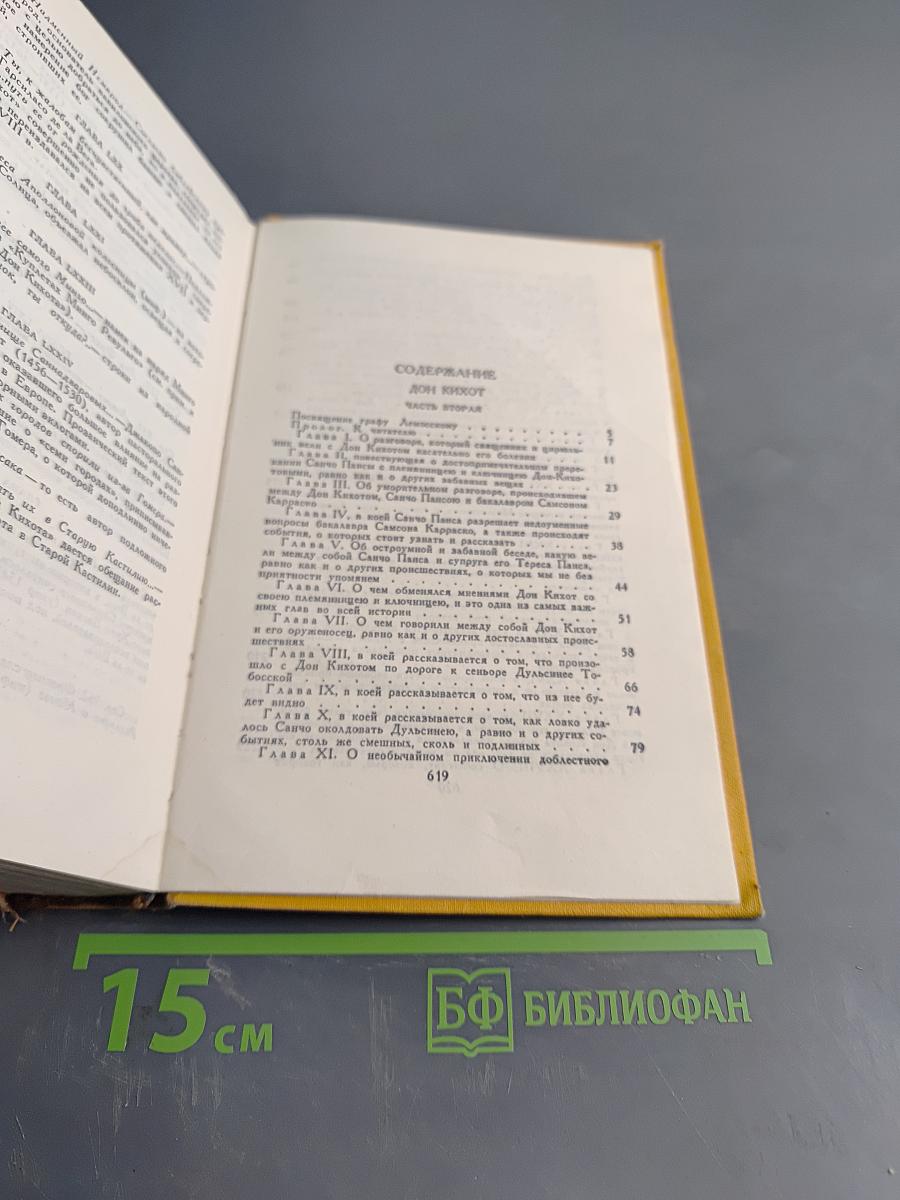 Хитроумный идальго Дон Кихот Ламанчский. Часть вторая