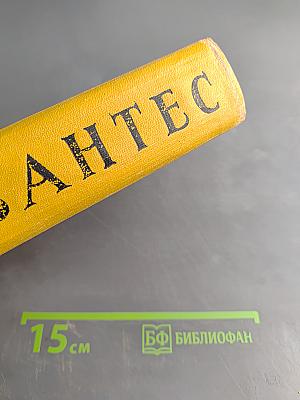 Хитроумный идальго Дон Кихот Ламанчский. Часть вторая