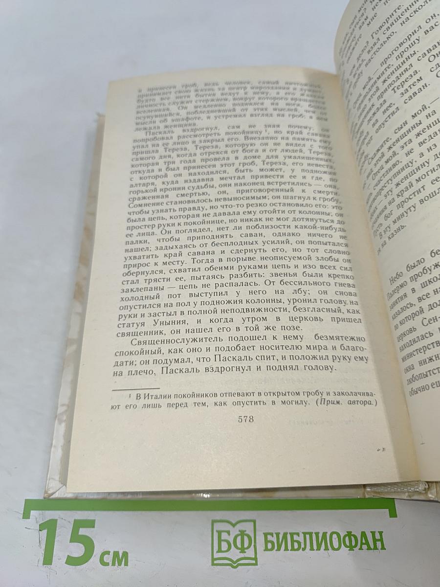 Учитель фехтования. Черный тюльпан. Новеллы