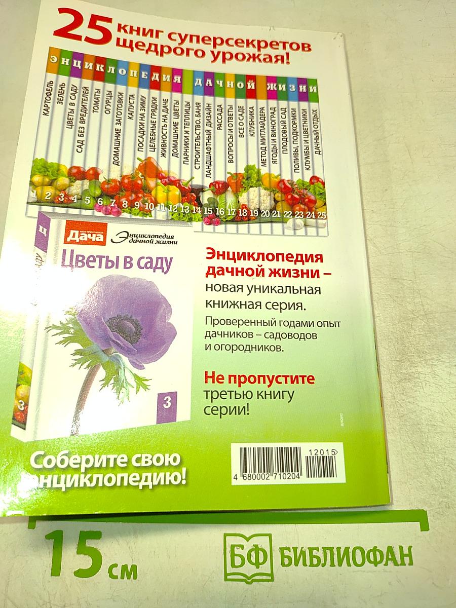 Дача. Зелень. Энциклопедия дачной жизни. №2