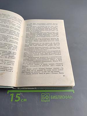 Капитан Панталеон и Рота добрых услуг