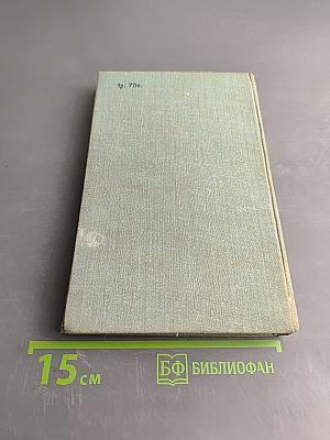 Капитан Панталеон и Рота добрых услуг