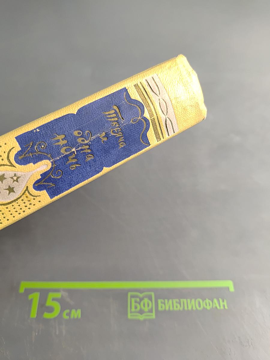 Тысяча и одна ночь. Том 4