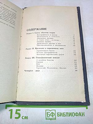 Божество с тремя лицами