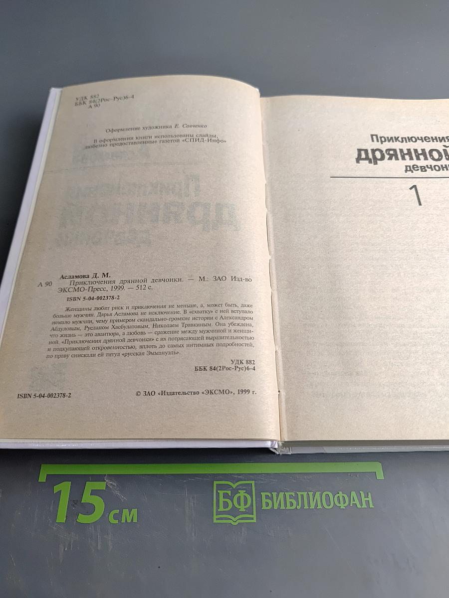 Приключения дрянной девчонки