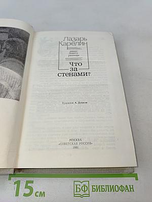 Что за стенами?