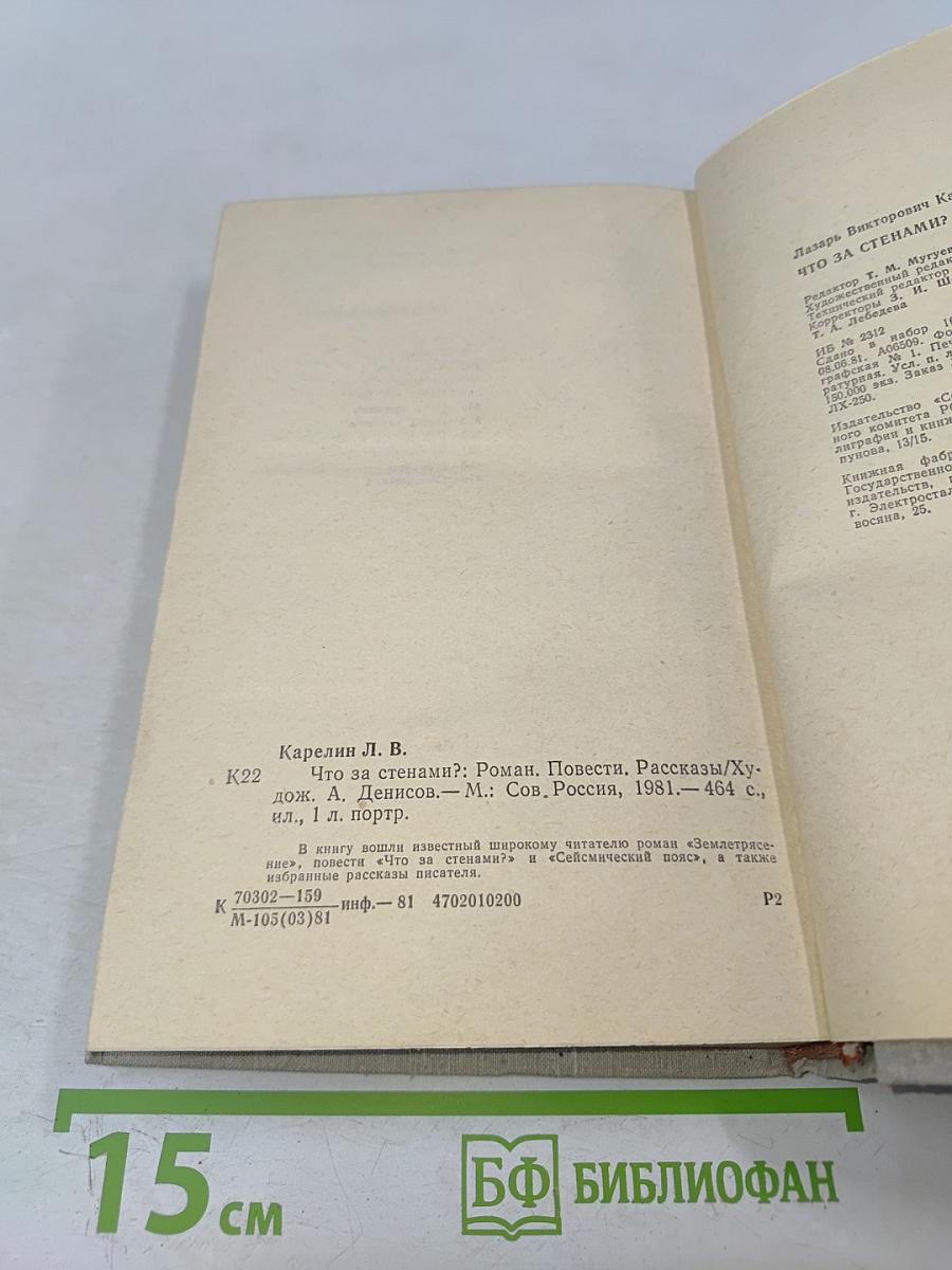 Что за стенами?