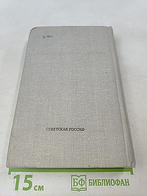 Что за стенами?