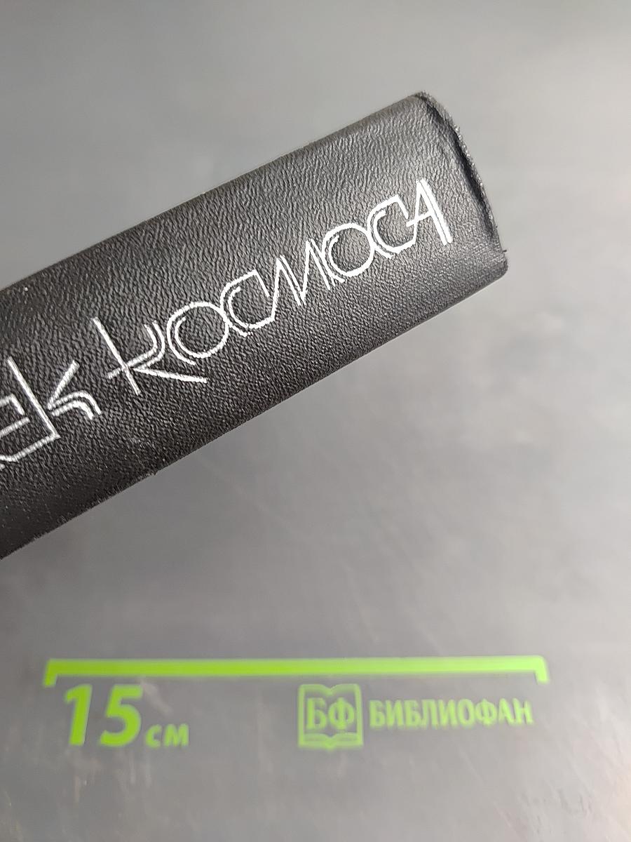 Век космоса. Страницы летописи