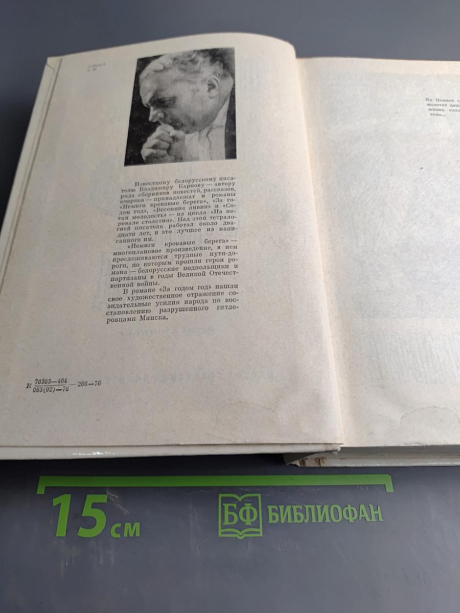 Немые кровавые берега за годом год