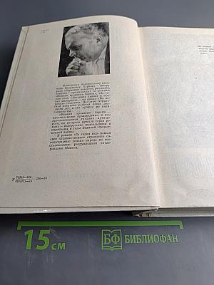 Немые кровавые берега за годом год