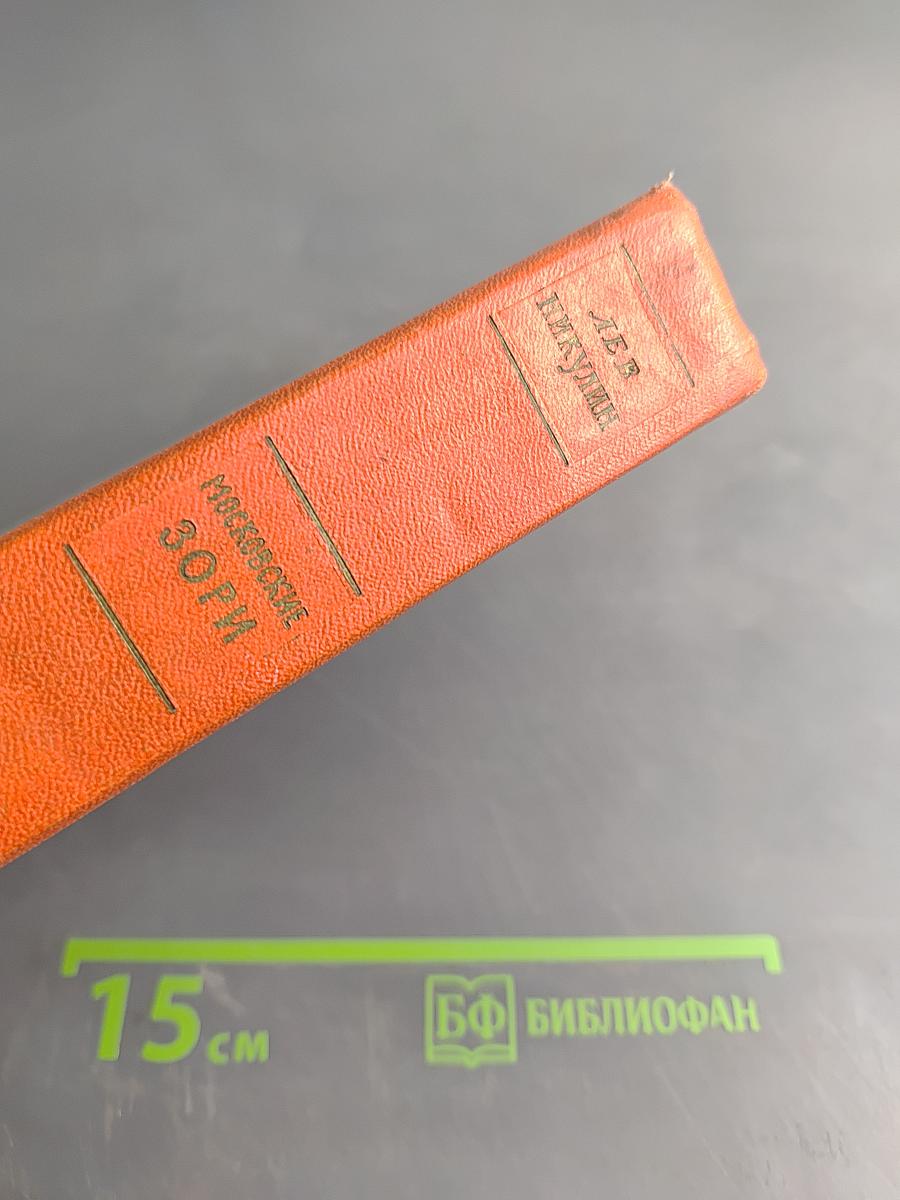 Московские зори. Книга вторая