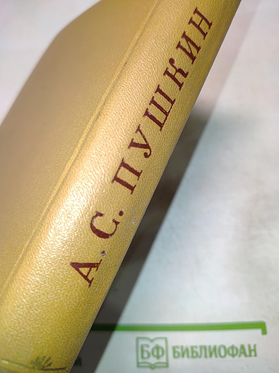 История Петра. Заметки о Камчатке