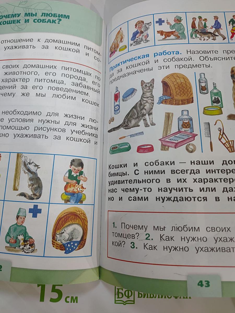 Окружающий мир. 1 класс. Часть 2
