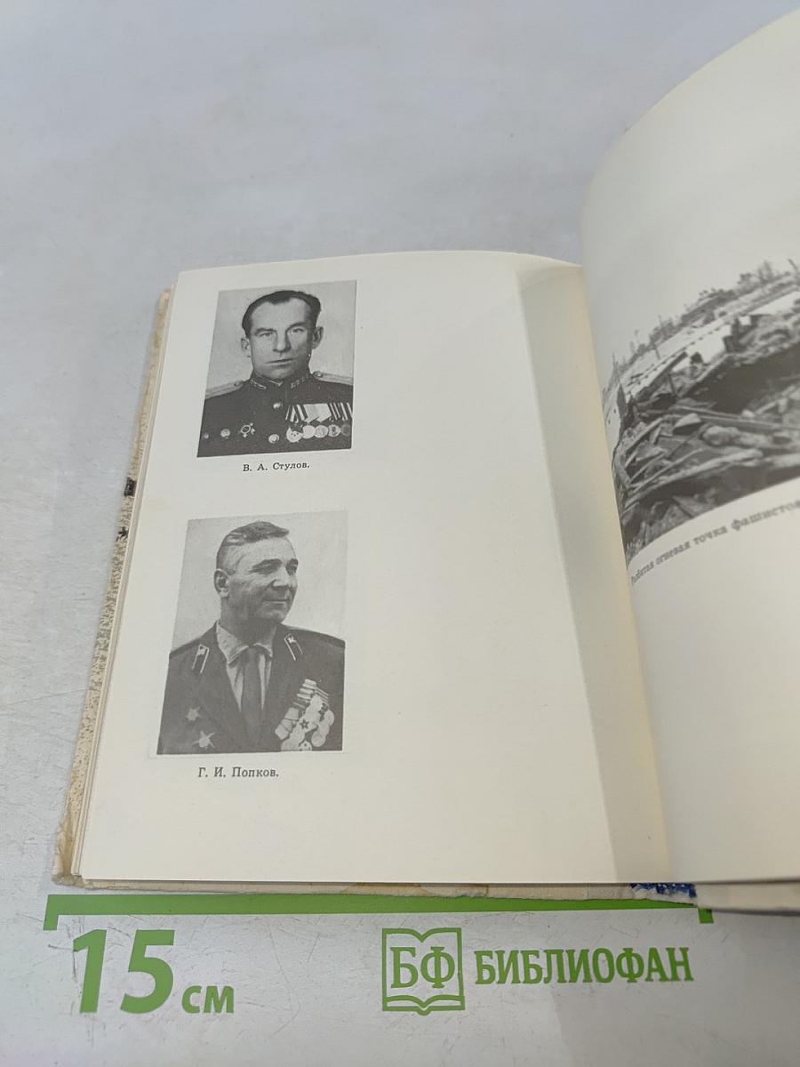 Непобежденный орешек