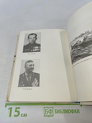 Непобежденный орешек