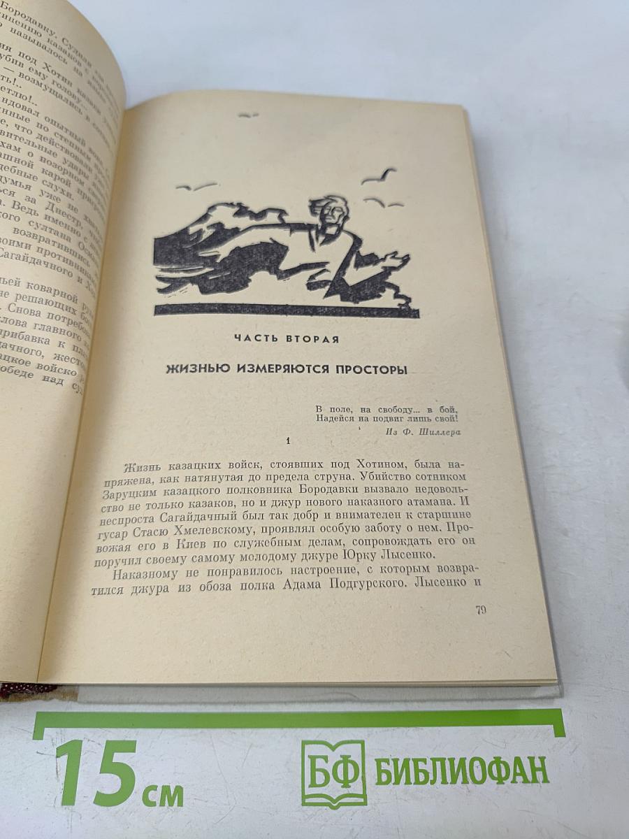 Хмельницкий. Книга вторая