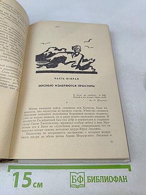 Хмельницкий. Книга вторая