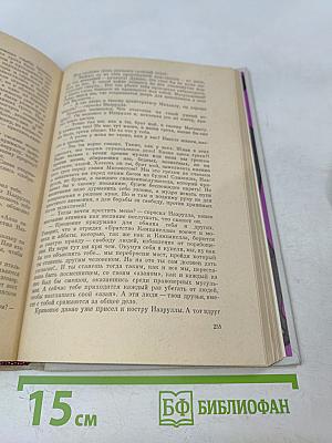 Хмельницкий. Книга вторая