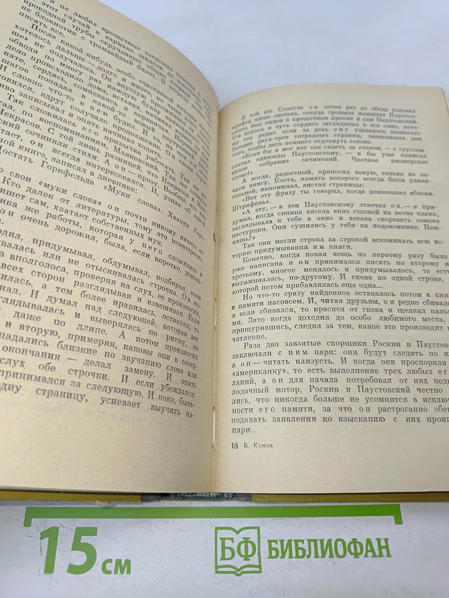 Обыкновенная биография (Аркадий Гайдар)