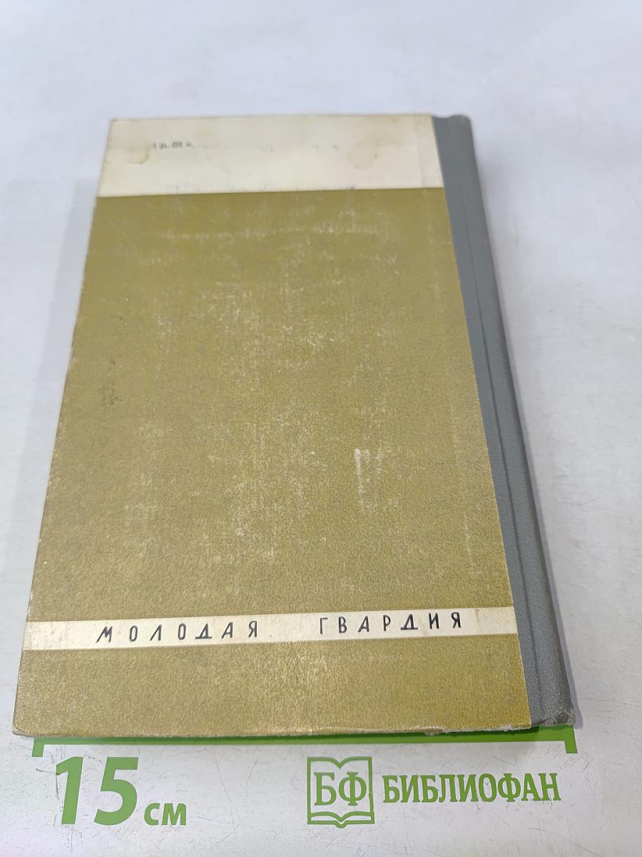 Обыкновенная биография (Аркадий Гайдар)