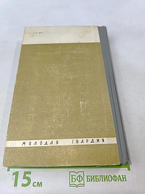 Обыкновенная биография (Аркадий Гайдар)