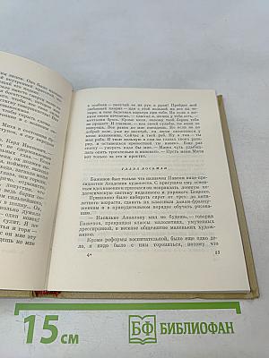 Собрание сочинений. Том 4. Михайловский замок