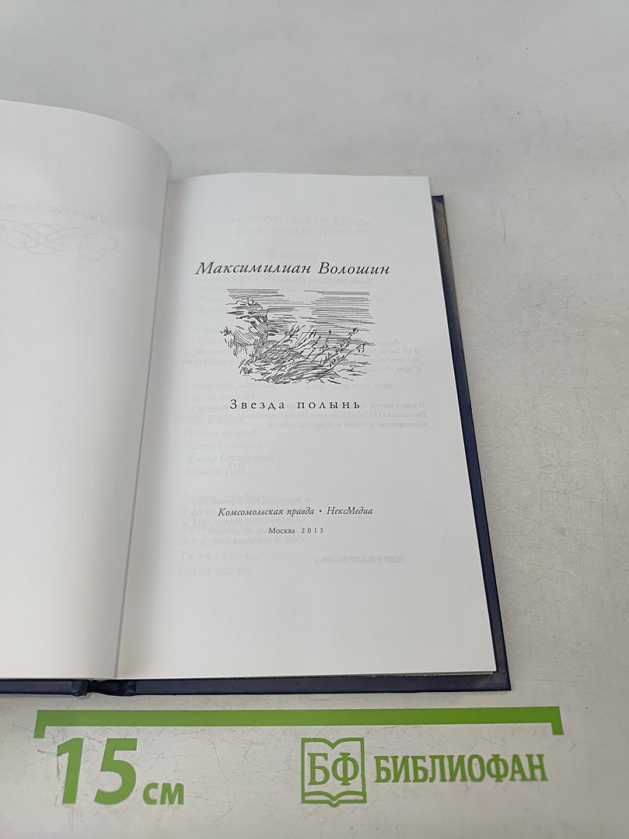 Максимилиан Волошин. Звезда полынь