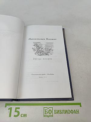 Максимилиан Волошин. Звезда полынь