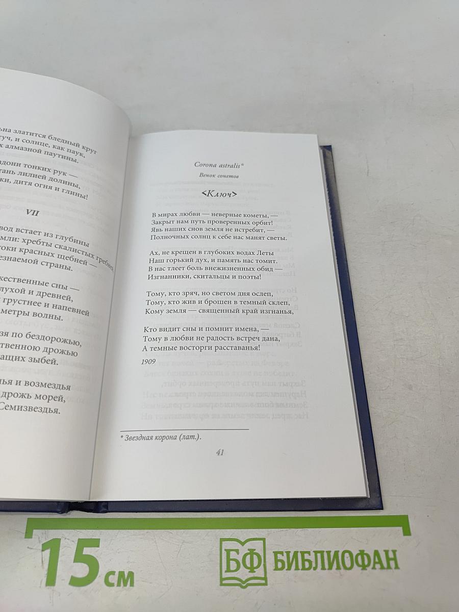 Максимилиан Волошин. Звезда полынь