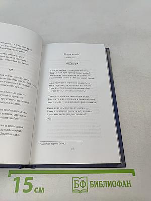 Максимилиан Волошин. Звезда полынь