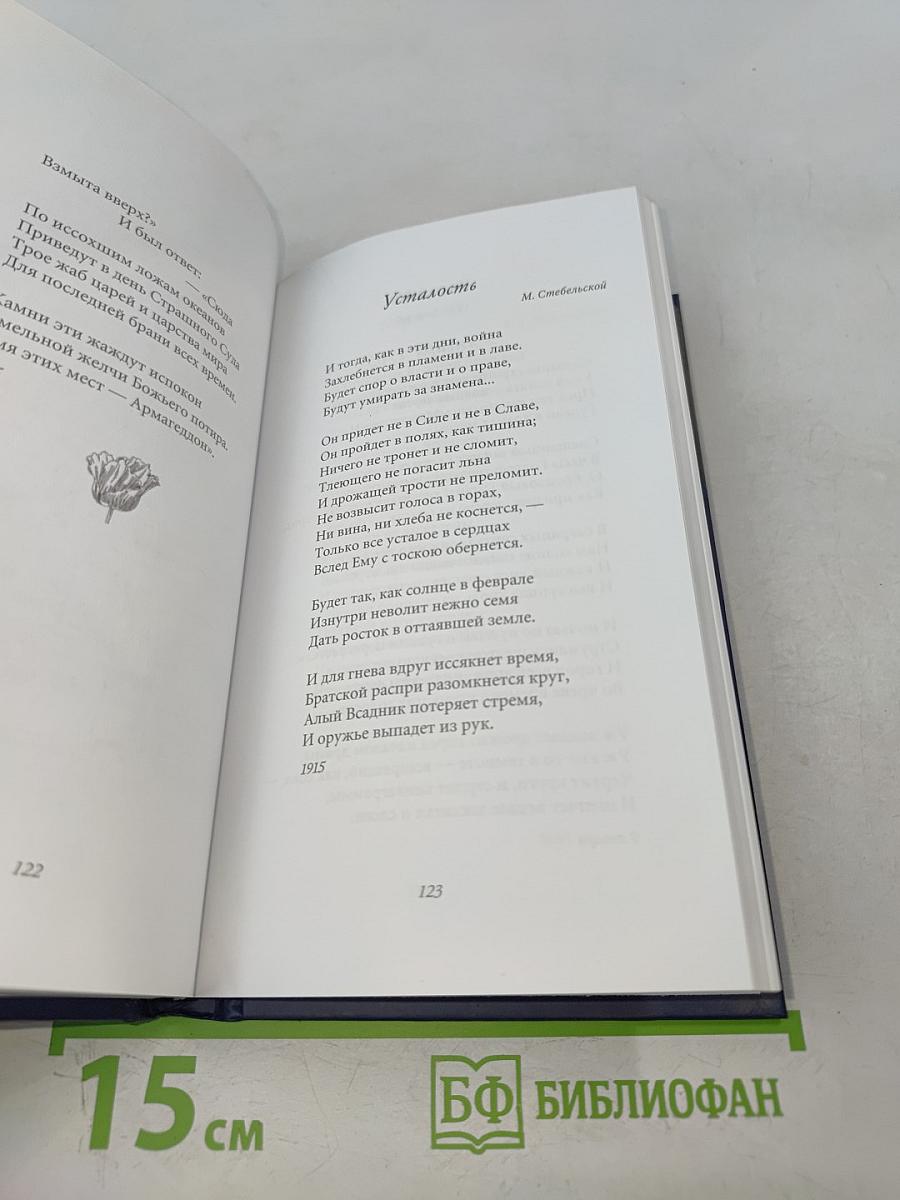 Максимилиан Волошин. Звезда полынь