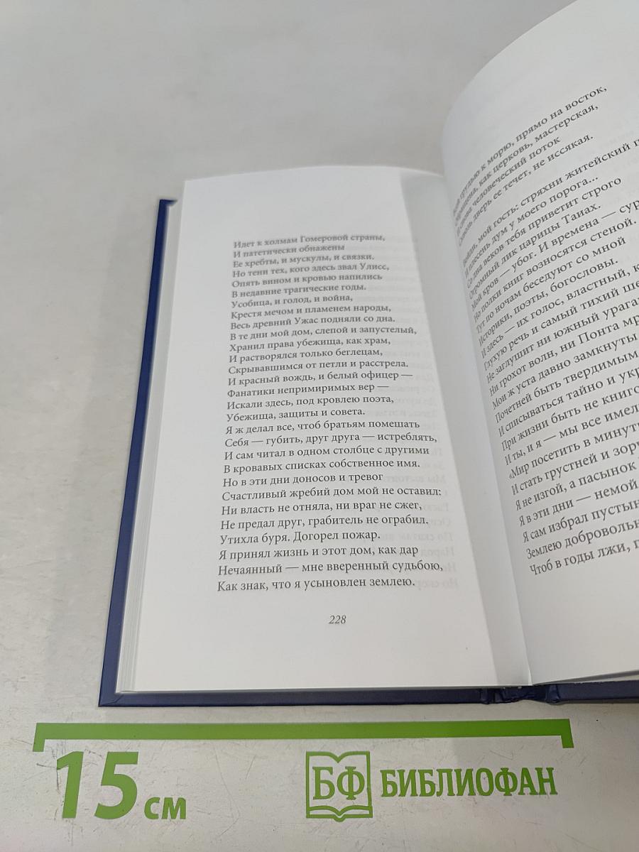 Максимилиан Волошин. Звезда полынь