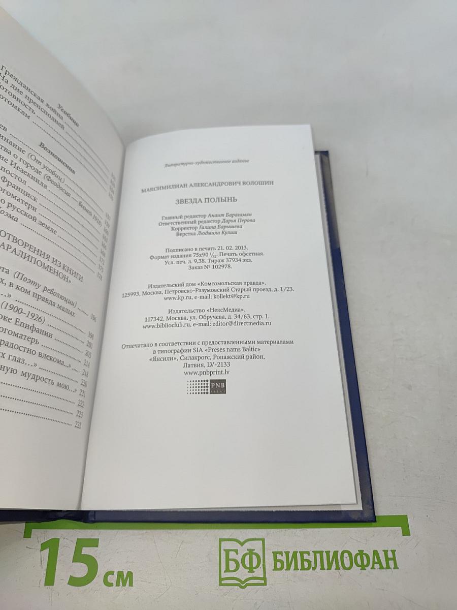 Максимилиан Волошин. Звезда полынь