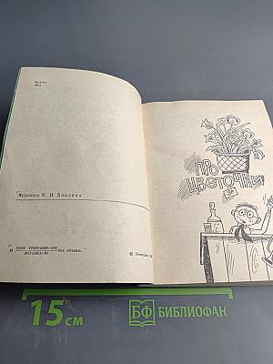 Пауза в мажоре