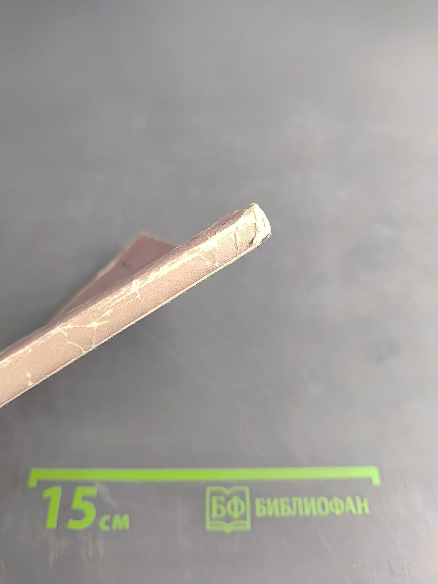 Ирина Зарубина