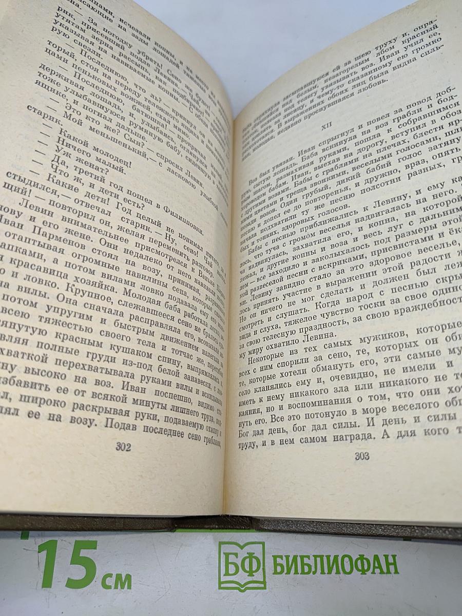 Анна Каренина. Роман в восьми частях. Том восьмой