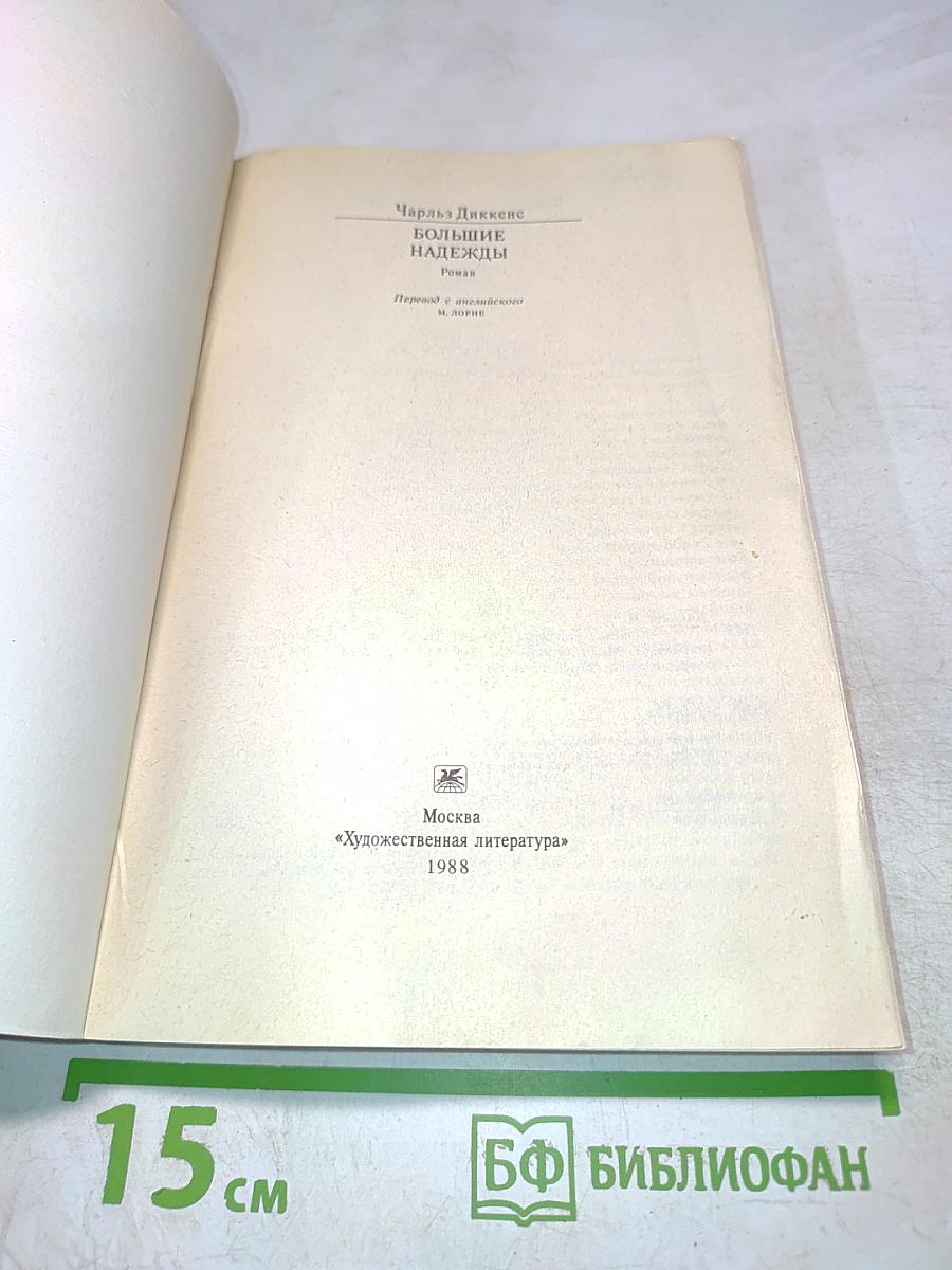 Большие надежды