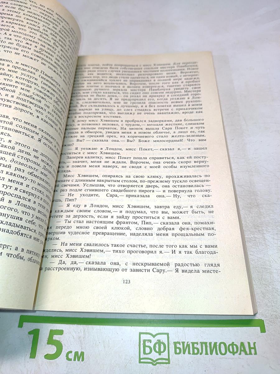 Большие надежды