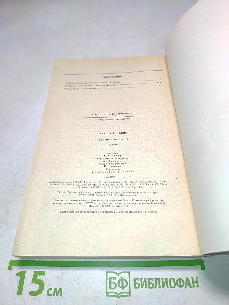 Большие надежды